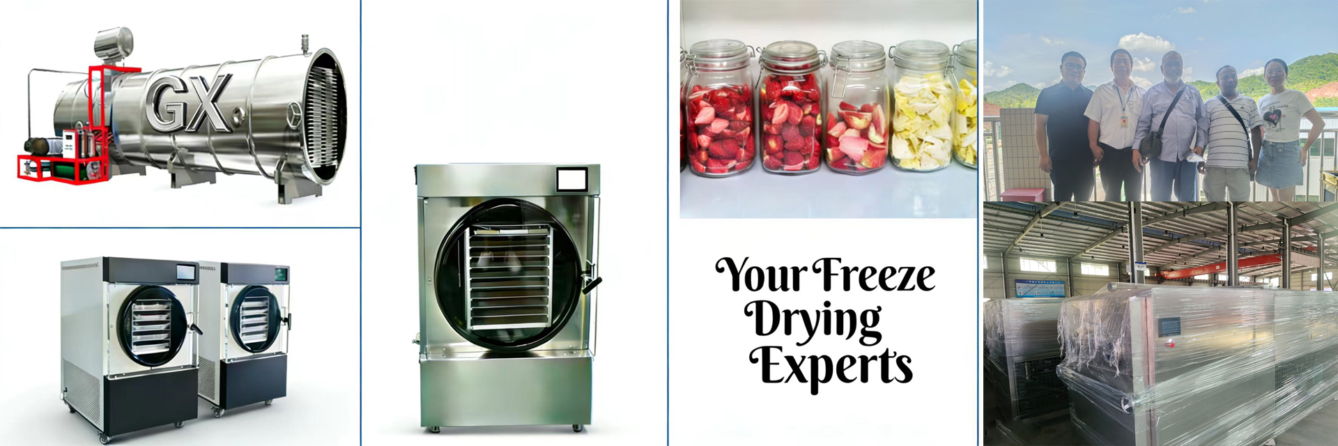 calidad secador de helada casero fábrica