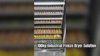 Liofilizador industrial de 100 kg para producción de alimentos comerciales