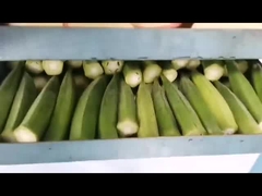 secador de congelación al vacío para uso doméstico