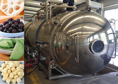 Máquina de secado por congelación con vacío de grado industrial 300 kg/partido Máquina de secado por congelación industrial