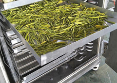 máquina de secado por congelación máquina de secado por congelación deshidratada congelación seca de alimentos deshidratador secador por congelación