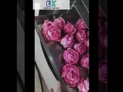 Máquinas de secado por congelación industriales para alimentos