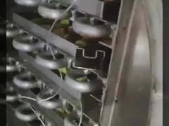 Secador de congelación de laboratorio con cámara 304 SS y Bosch Vacuum - liofilizador de precisión