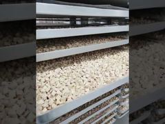 Mire: Construido para resistir: escaparate del procesamiento de liofilizadores industriales de bajo mantenimiento