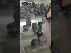 Ver: Secado de precisión con liofilizador industrial para ingredientes de alto valor por contrato a granel