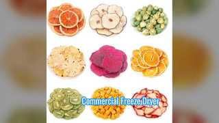 Báscula comercial liofilizadora industrial de 100 kg