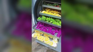 Liofilizador casero Conservar los alimentos sea bueno