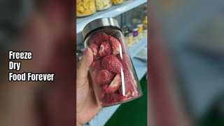 Liofilizador casero para conservar alimentos frescos