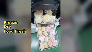 Liofilizador casero conserva Foo