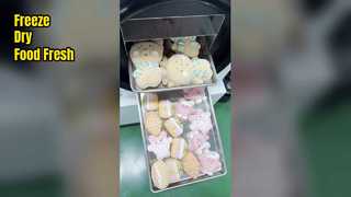 Liofilizador casero para conservar la frescura de los alimentos