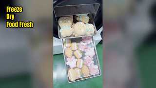 liofilizador doméstico para la conservación de alimentos