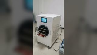 secador de congelación doméstico para almacenamiento de alimentos