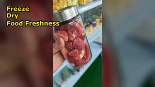 Liofilizador casero Conservar alimentos Maximizar la nutrición