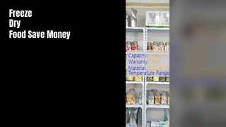 Mini liofilizador casero de alimentos