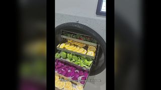 Liofilizador casero para almacenamiento de alimentos a largo plazo