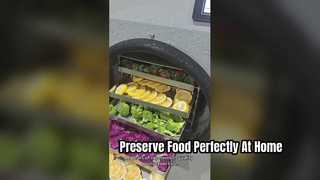 Liofilizador Elite Home para conservar alimentos como un profesional