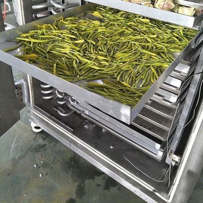 Secador de congelación industrial de alimentos 200 kg/partido Control de aire por PLC