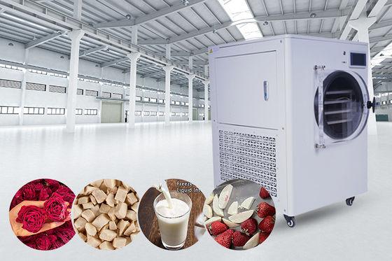 6 ~ 20Kg Capacidad Para el hogar pequeño Secador de congelación calefacción eléctrica Método de calefacción media