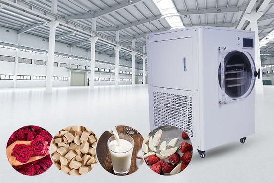 Pantalla LCD  Sistema de refrigeración Secador de congelación doméstico para el hogar y la conservación de alimentos