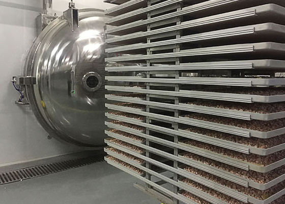 Máquina de secado por congelación a vacío controlada por PLC con condensador a -40 °C