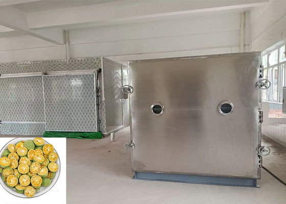 100 kg/ lote Máquina de liofilización y liofilización con unidad de mordisco