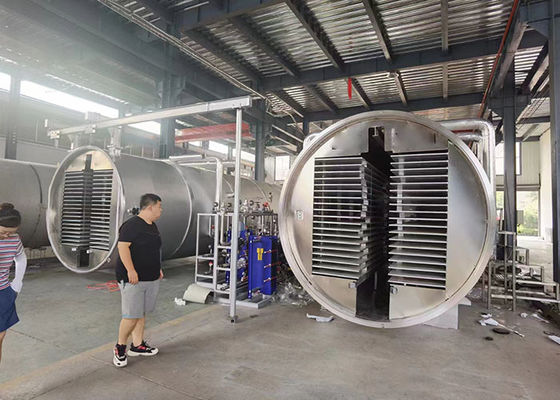Máquina de secado por congelación con vacío industrial mediano Alimentos y vegetales