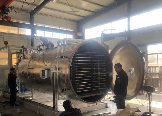 Refrigeración por aire 50Kg 100Kg Vegetales industriales Alimentos aspirador de congelación secador