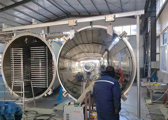 100 kg/partido Máquina de deshidratación por congelación Vacío industrial alimentario