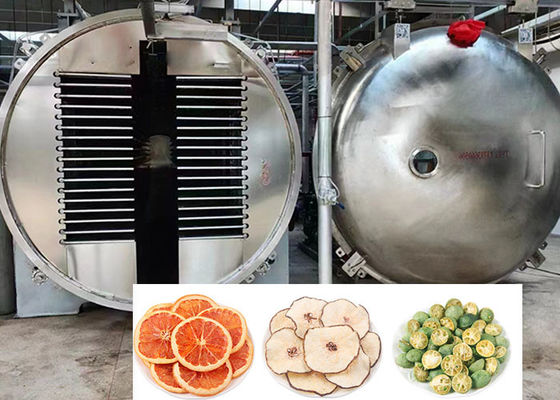 200Kg 100Kg Capacidad Alimentos Industriales Secador de congelación de alimentos