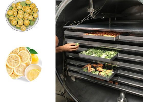 Frutas y hortalizas Máquina de deshidratación por congelación industrial 100 kg/ lote
