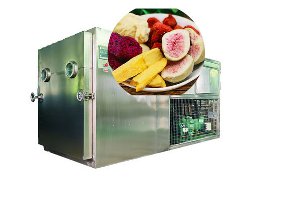 100 kg 200 kg Liofilizador controlado por PLC Secador de congelación de alimentos al vacío