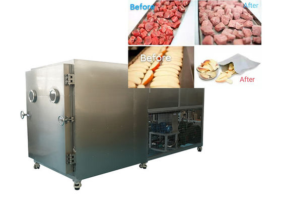 Seca de congelación de Lyo de gran tamaño Premium Active 100 kg/partido