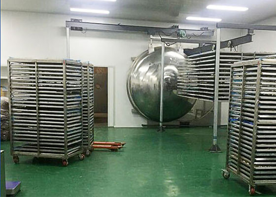 Industria farmacéutica Eléctrico calefacción secador de congelación En farmacéutica