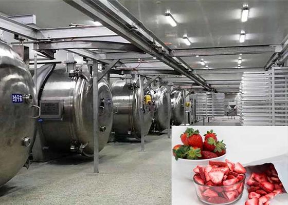 Equipo de secado por congelación industrial de alimentos con vacío de 100 kg
