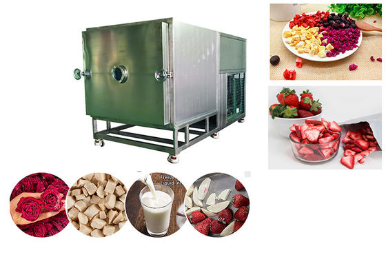 Máquina de secado por congelación de alimentos con vacío de alta capacidad 100 kg/partido