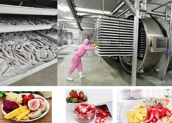 Seca congeladora de alimentos a vacío controlada por PLC 200 kg/partido
