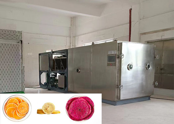 Alimentos Vacuo Vegetales Secador de congelación Personalizable Grande