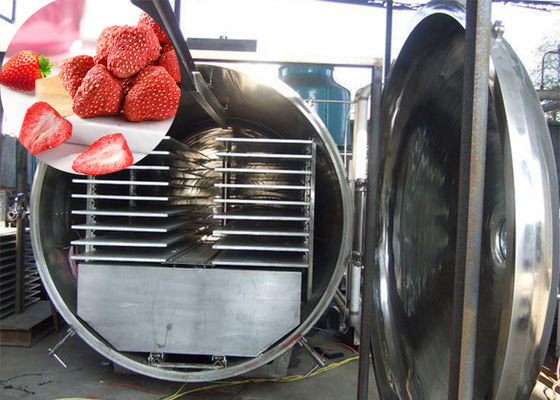 300Kg Vacuo Atla Industriales Alimentos Vegetales Máquina de congelación seca