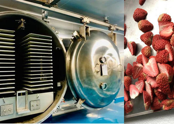 Comerciante de alimentos y verduras secador de congelación refrigeración por aire