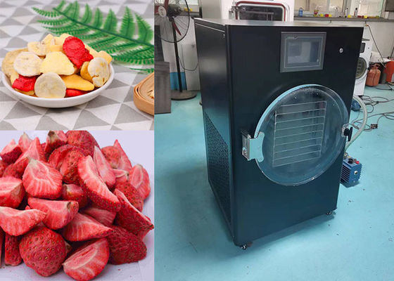 4Kg 6Kg 10Kg Máquina de secado por congelación controlada por PLC