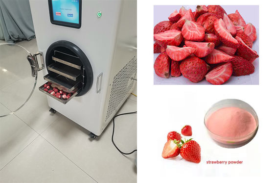 6 kg de mini secador de congelación control PLC calefacción eléctrica