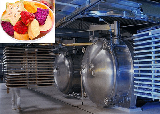 Secador de congelación profesional de alimentos con vacío de 220V/380V/3PH para un alto rendimiento de secado