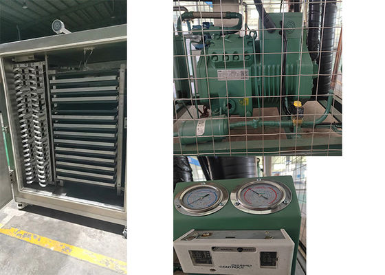 Liofilante farmacéutico secador de congelación eléctrico