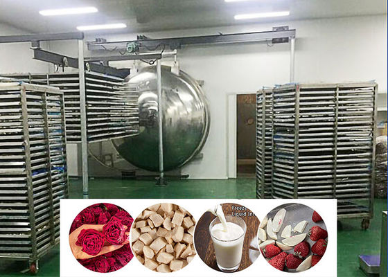 Máquina de secado por congelación industrial de alimentos con vacío 200 kg/partido