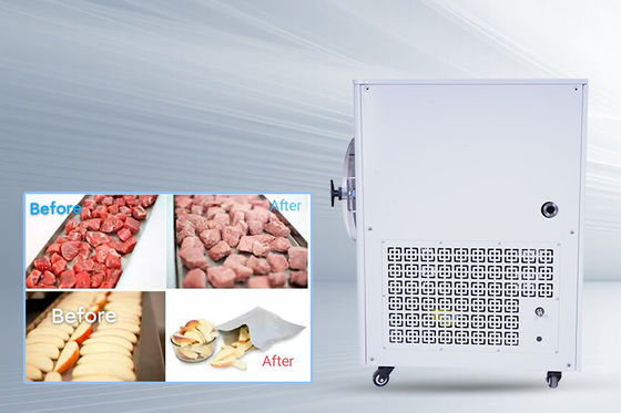 -50C- 50C Tempe mini secador de congelación 10kg/ lote enfriado por aire