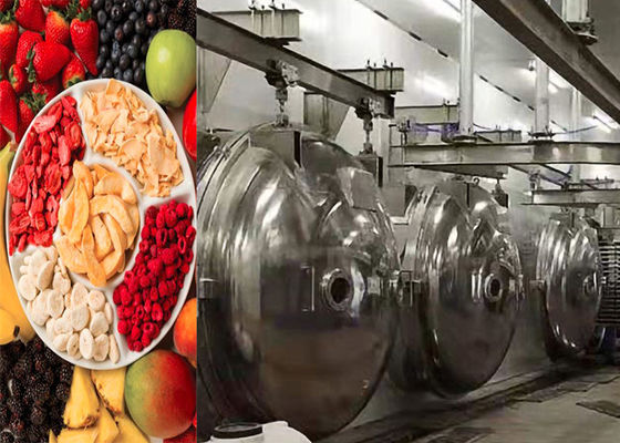Máquina de secado por congelación a vacío de alimentos industriales 304 de acero inoxidable