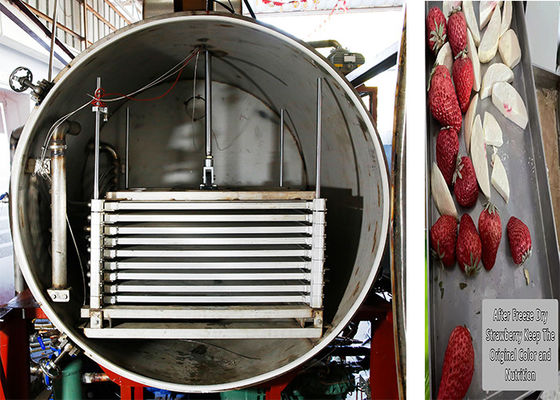 Máquina de congelación seca industrial de control remoto de 300 kg