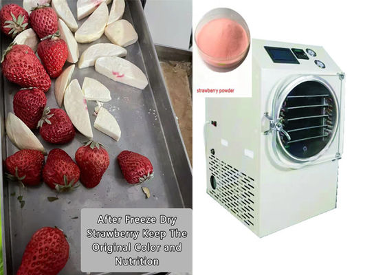 PLC controlado de alimentos para el hogar secador de congelación 6Kg 10Kg tamaño medio