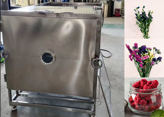 100 kg 200 kg Leche alimento para mascotas máquina de secado por congelación con vacío