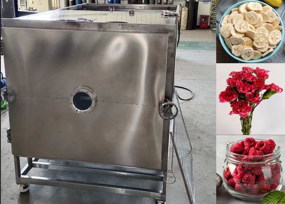Máquina de secado por congelación con vacío para alimentos grandes Equipo liofilizador
